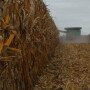 2018 Harvest
