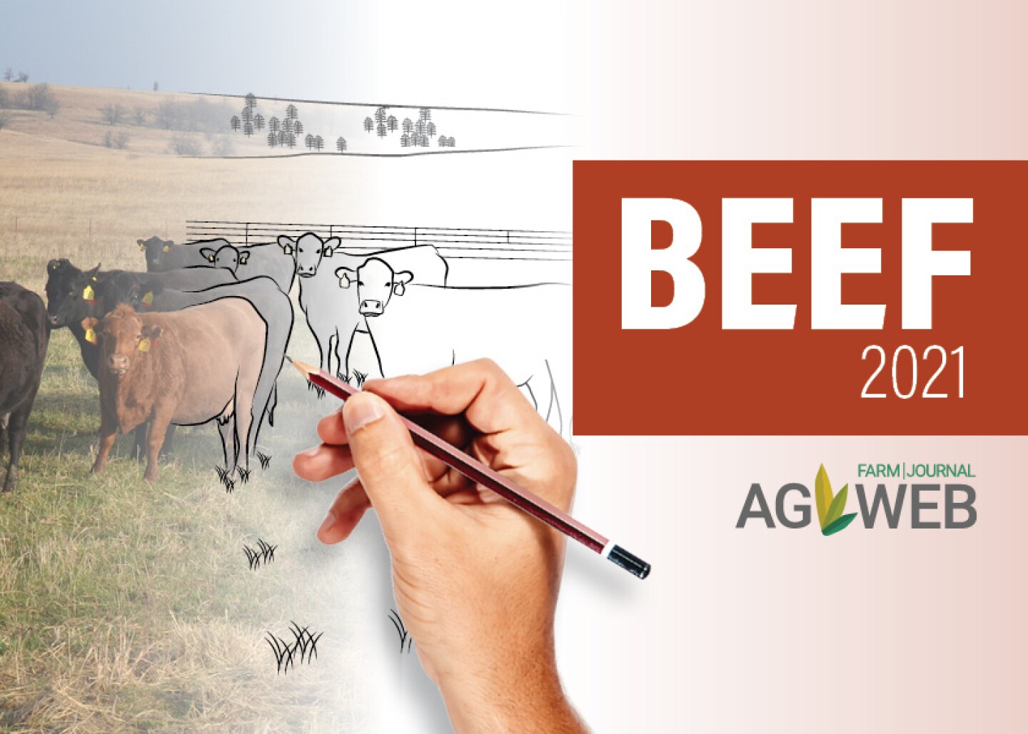Beef%202021%20Outlook.jpg