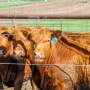 Zeman Ranch