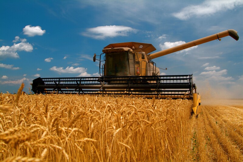 China is buying more U.S. Wheat