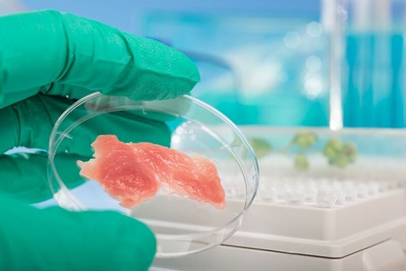 Cell Cultured Meat 