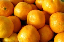 The USDA has slightly raised its estimate for Florida orange production.