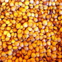 pea_freeimages