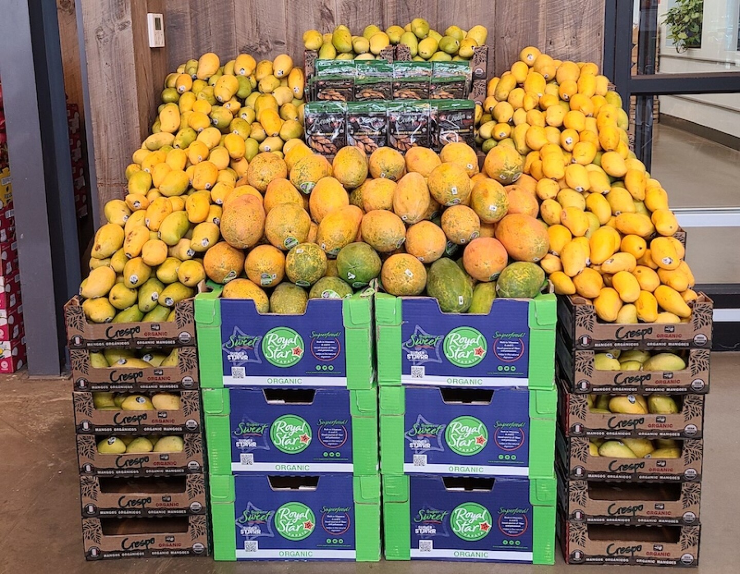 RV%20Papaya%20EMBED.jpg