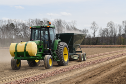 Nash Produce, Nashville, North Carolina, has sweet potato growers all around that region.