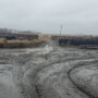 Muddy feedlot