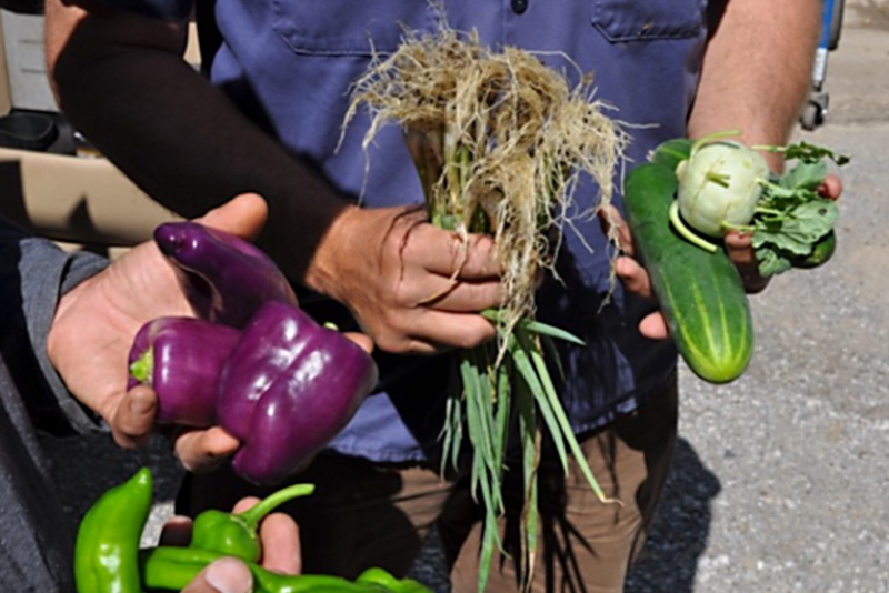 Farm-to-pharmacy movement