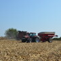 Much of the 2019 crop still has a long way to go. Early frost and other weather ailments could further diminish the crops' final yield.