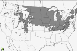 frost outlook