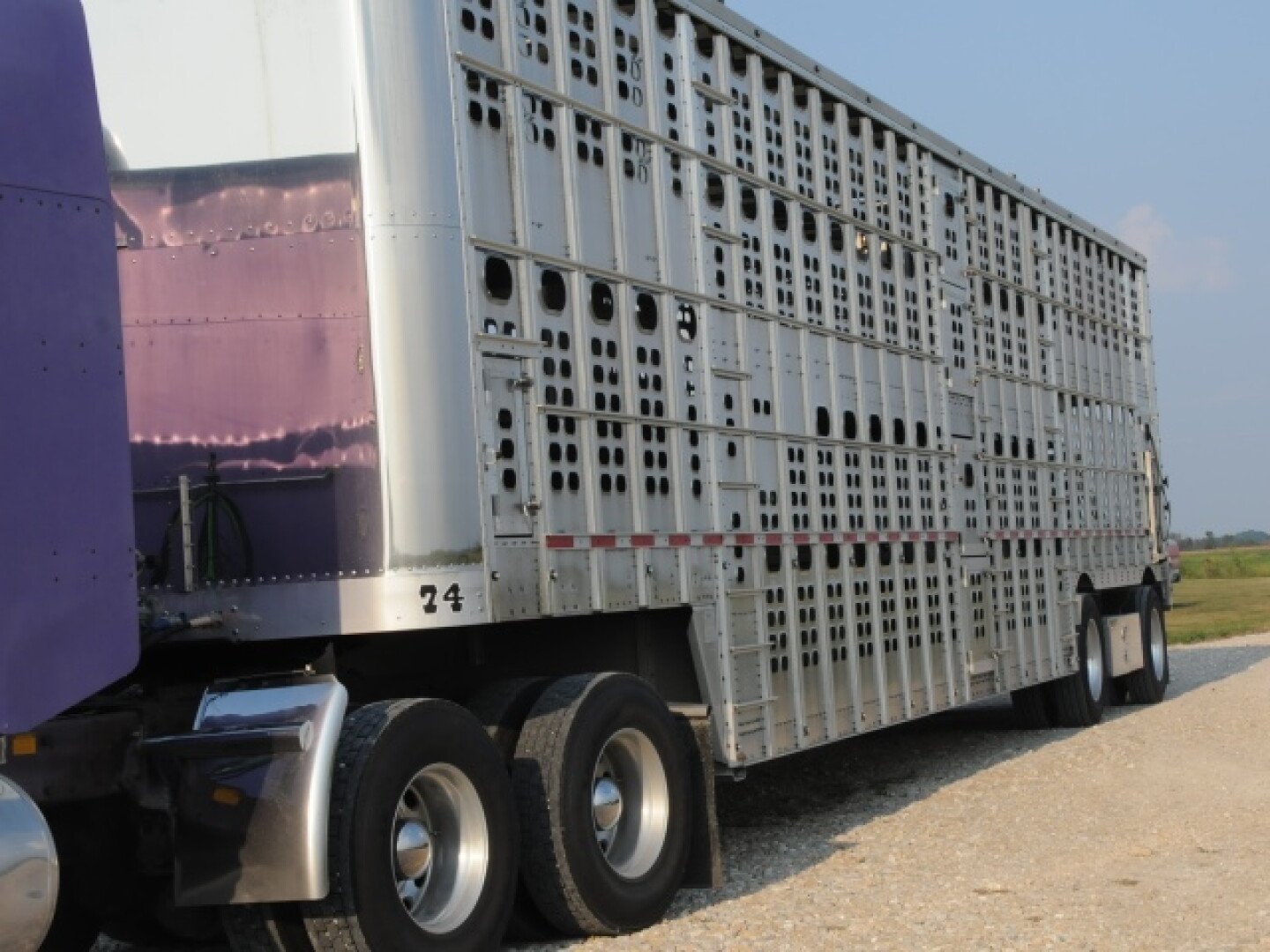 Livestock_trailer