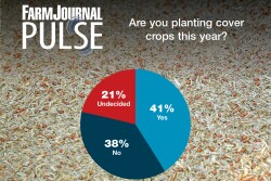 Are you planting cover crops this year?
