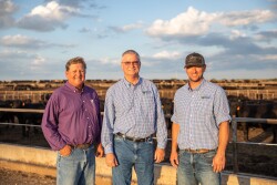 Shaw Feedyard