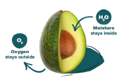apeel avocado