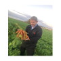 Dorot Farm carrot. Photo courtesy Dorot Farms
