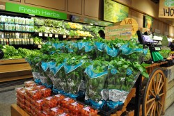 Soli Organic Expands Operations