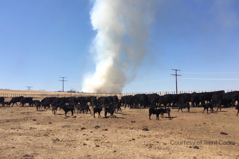 Texas Wildfires