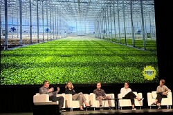 Five panels discuss issues on couches under a big screen with an image of greenhouse grown lettuce.