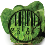 Food safety photo illustration