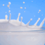 milk.gif