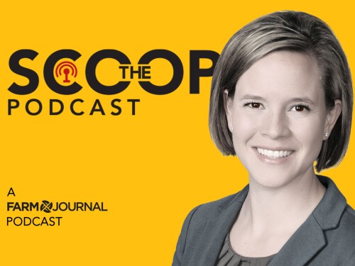The-Scoop-Podcast.jpg