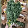 Shown from above, a hand covered in a sanitary glove holds green kale. Below, and slightly out of focus, are brown boxes containing kale.