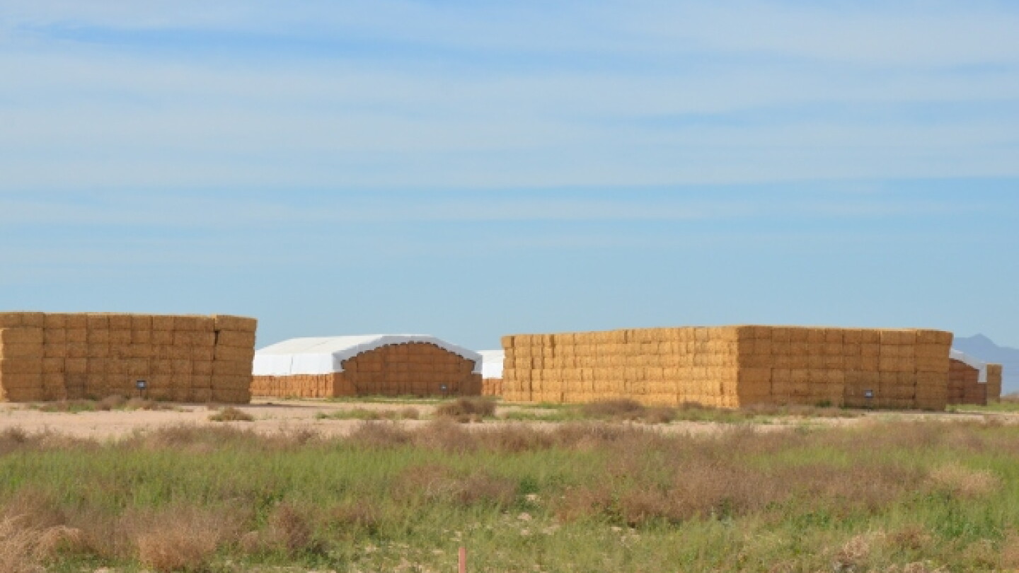 What's the Nutrient Value of Wheat Straw? - The Packer
