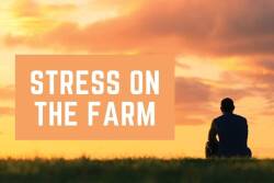 Stress on the Farm