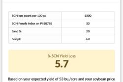 SCN-Profit-Checker-Results.jpg