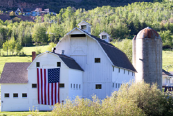 Farm Scene