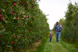 While the Northeast's commercial-scale apple harvest gears up in the fall, families also can go apple-picking at many of those same orchards in New Jersey and New York.