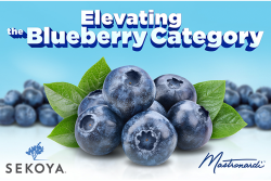Sekoya blueberry platform Mastronardi