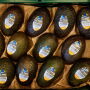    Apeel avocados and citrus are seeing expanded distribution in Germany.