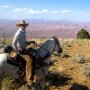 CHRIS HEATON ANTIQUITIES ACT