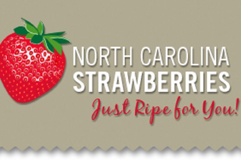 NC strawberry