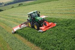 Cutting alfalfa.
