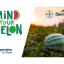 mind your melon