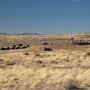 Stone Ranch