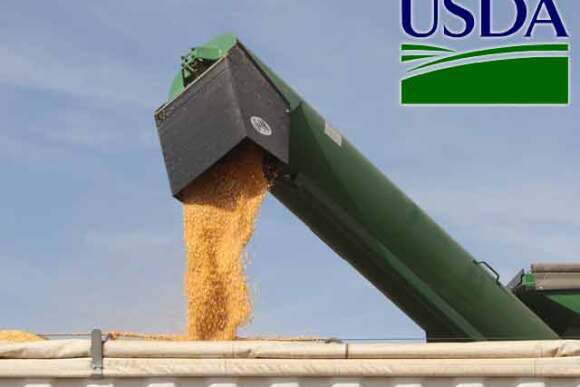 USDA-corn-unloading-harvest.jpg