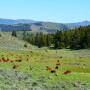 Lookout Mountain Ranch