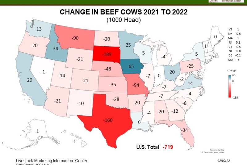 Beef Cow Inventory