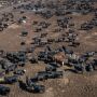 Feedlot