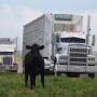 The choice of "movement assistance device" may affect the loading outcome.