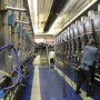 DT_Dairy_Parlor_Milkers