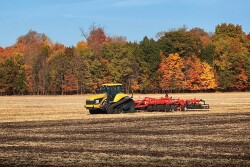 Fall Field