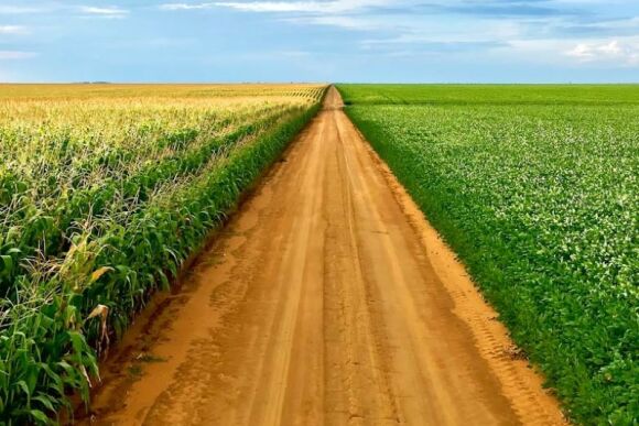 Farming Input Costs Are Rising – How Producers are Managing the Risk 