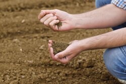 John Phipps says until recently, the idea of reviving ways to idle acres was looking less unthinkable. With growing crop supplies, the revival of a set-aside program is now entering the conversation again. 