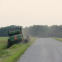 Ditch Hay
