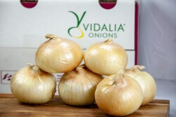 Vidalia onions