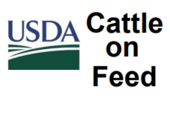Cattle on Feed Report