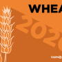 For the past two years, wheat acres have dipped to a 100-year low. For 2020, acres could challenge the 110-year low. 